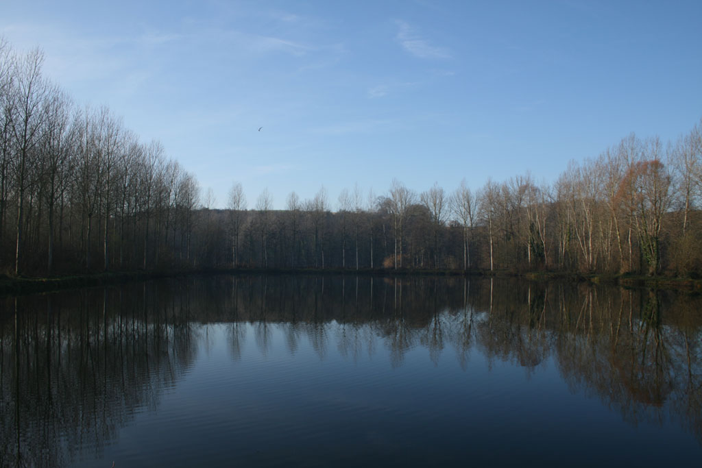 photo_balade_bray_sur_somme_17-12-2006_026